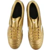 Folgado Pro Kl AS &laquo;Gold&raquo;