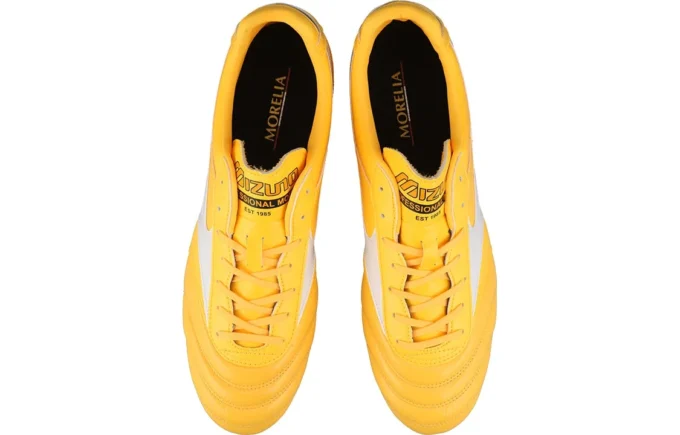 Morelia 2 Pro AG