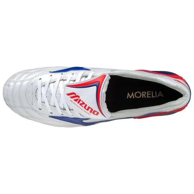 Morelia Wave Japan &laquo;Silver Blue&raquo;