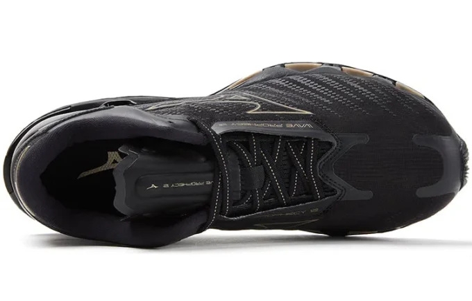 Wave Prophecy 12 &laquo;Black Gold&raquo;