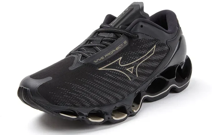 Wave Prophecy 12 &laquo;Black Gold&raquo;